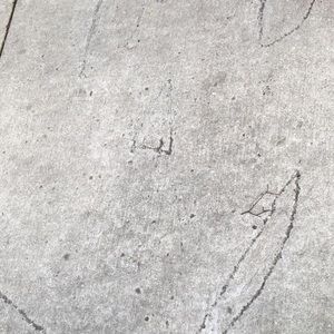 Meet your Posher, Jack